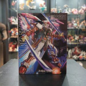 GUNDAM-ASTRAY RED FRAME
